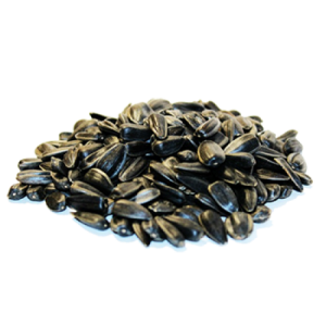 Sunflower seeds PNG-42957